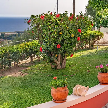 بيت للعطل Angelina's Sea View أرغوستولي